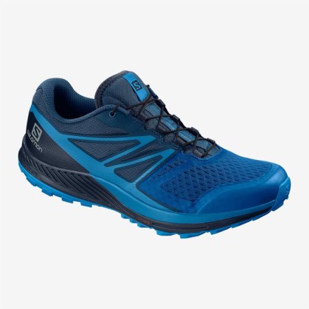 Salomon men's sense ride on sale 2